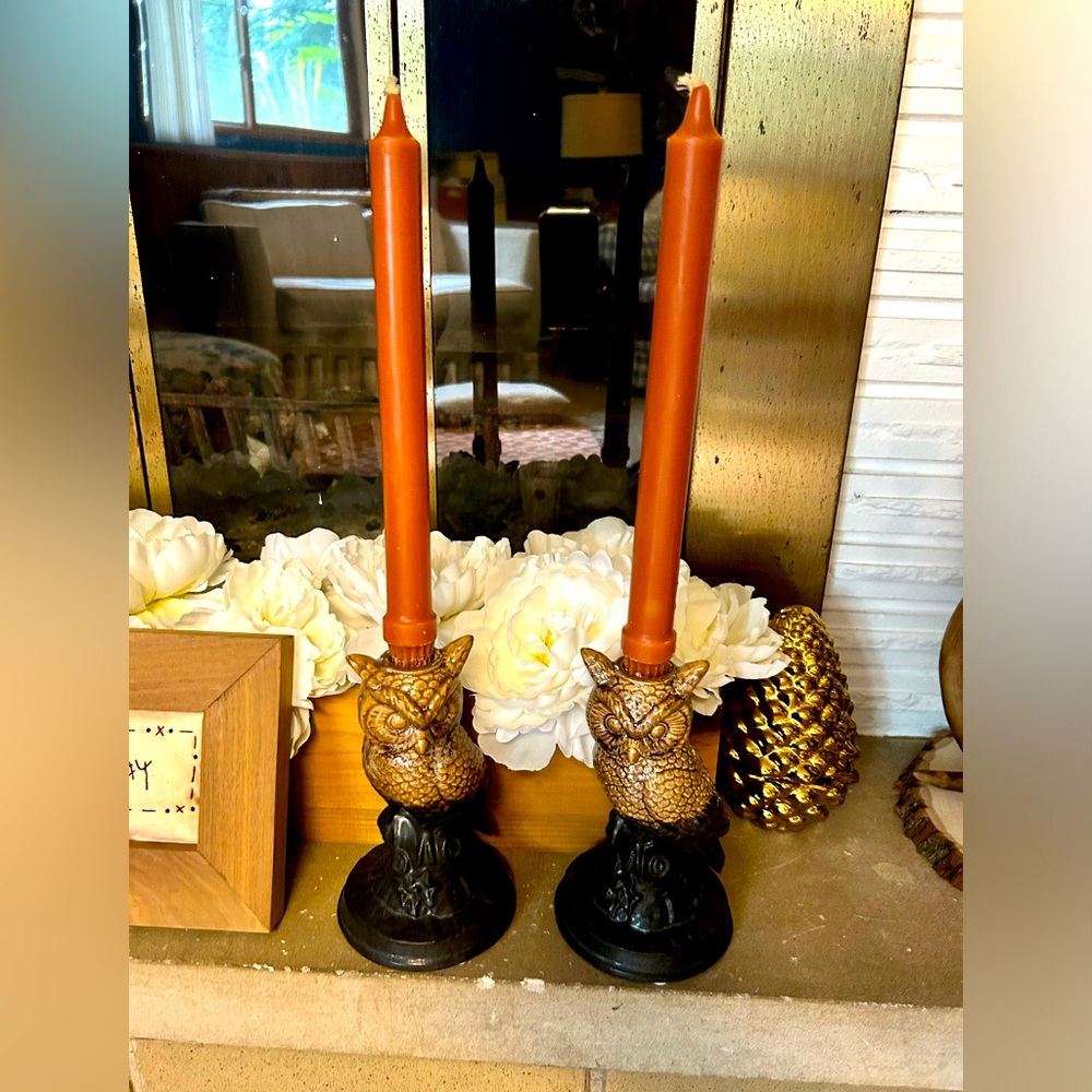 Owl Taper Candle Holders (set of 2)